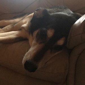 Meet your Posher, Andrea